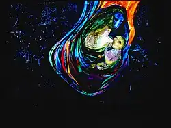 "Moeder met kind", glas applicatie