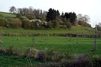 Gerendal bij Oud-Valkenburg