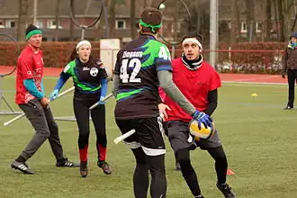 Passau Three River Dragons vs. Quidditch Darmstadt (2016)