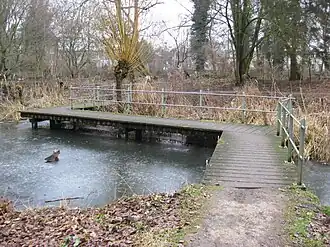 Gerrit Molbrug (2017)