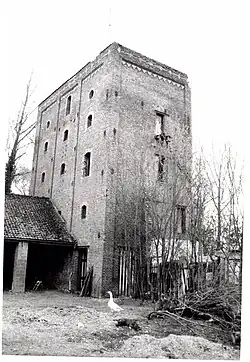 Vroegere chicorei-ast