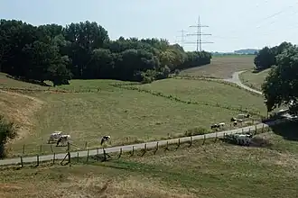 Geuchter Weg in de vallei van de Amstelbach