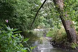 Tussen Valkenburg en Berg