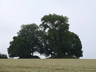 Drie Tommen (Montenaken)