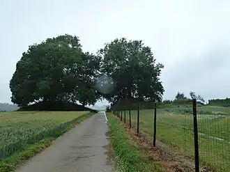 De Drie Tommen, links van het pad de zuidwestelijke, rechts de andere twee