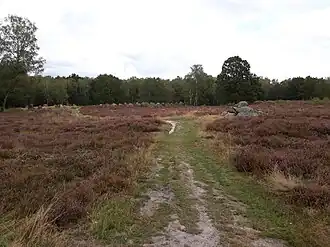 Overzicht over de Glaner Heide met een gedeelte van de 'Glaner Braut'