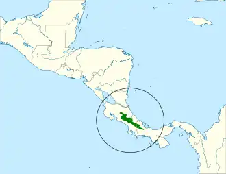 Costaricaanse dwerguil