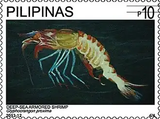 Glyphocrangon proxima