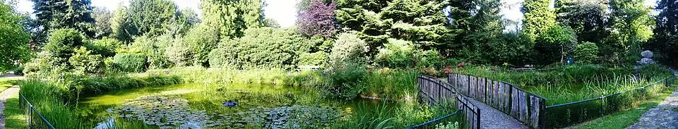 Uitzicht over de dorpsvijver in Nierswalde