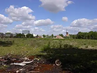 Het braakliggende terrein met wilde planten.