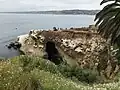 Goldfish Point, La Jolla