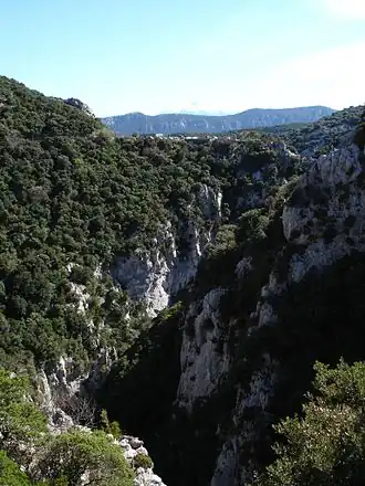 Les Gorges de Galamus