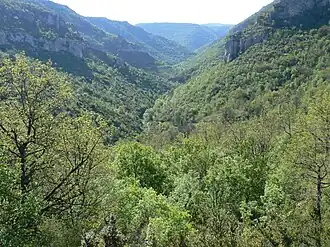 Gorges de la Virenque