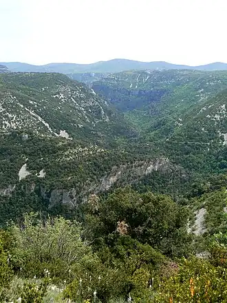 Gorges de la Vis nabij Saint-Maurice-Navacelles