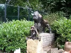 Gorilla met jong (1993) in dierentuin Artis, Amsterdam