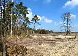 In 2014 ontboste heide