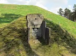 Opslagkelder, nu vleermuizenverblijf