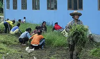 Onderling samenwerkende dorpelingen in Indonesië