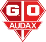 Grêmio Osasco Audax