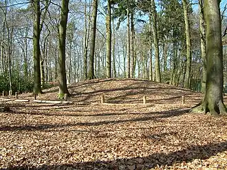 Grafheuvels in het Spainkbos