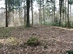 Grafheuvel op terrein Dorskamp, de noordelijke heuvel Rijksmonumentnummer 46180