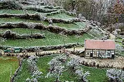 Graften met heggen (Z-Limburg)