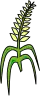 Graan clipart