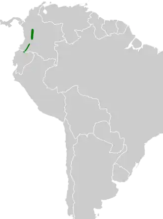 Tweekleurige mierpitta