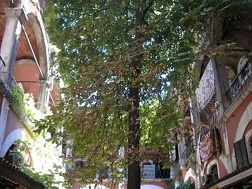 De binnenplaats van de Zincirli Hanı, een voormalige karavanserai