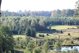 Woud van Saint-Hubert