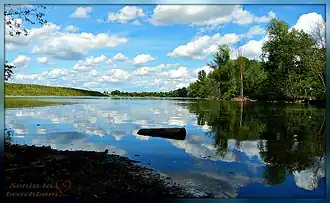 Natuurgebied La gravière Brock
