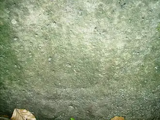 Petroglief op een steen van de Pierre Turquaise