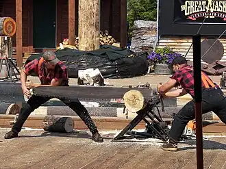 trekzaag bij lumberjack game