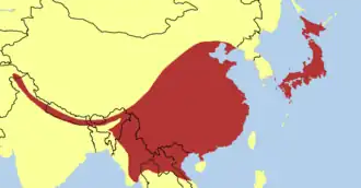 Chinese reuzenijsvogel