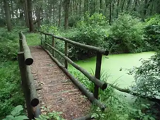 Bruggetje over Antitankgracht in het Boekerbos, deel van de Grebbelinie