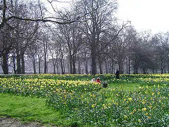 The Green Park.