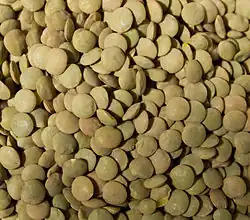 Linzen (Lens culinaris), gedroogd