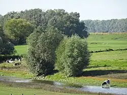 Griethauser Altrhein met blik op Salmorth