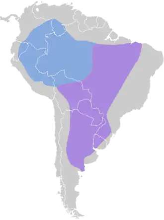 Uruguaytiran