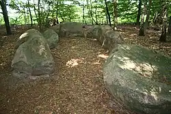 Megalitisch monument Großsteingrab Gerichtsstätte