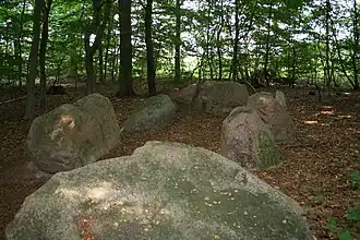 De enige overgebleven deksteen ligt naast het hunebed