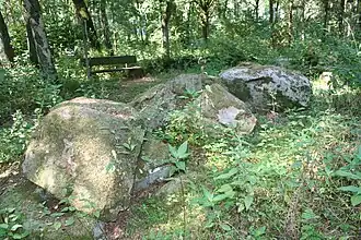 Großsteingrab Thölstedt