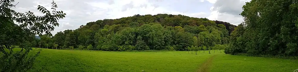 De Riesenberg gezien vanuit het zuiden met op de voorgrond de Dorregrubbe