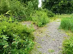 Tekenen van de verloedering van het terrein; overwoekerde bankjes bij het hertenkampje.