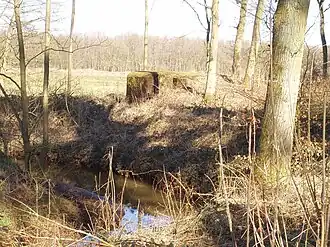 Het Groot Schijn met een bunker
