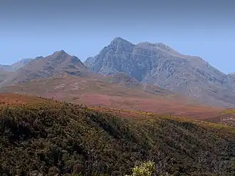 Landschap Grootvadersbosch