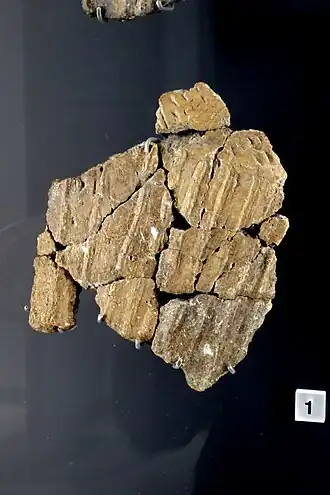 Grooved Ware-scherf uit Durrington