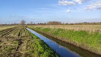 De Grote Beek, dicht bij de monding in de Molenbeek