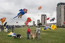 Vliegerfestival Maasboulevard