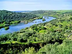 De Guadiana bij Serpa (Portugal); de oevers zijn beschermd natuurgebied